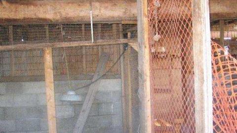 Another Rural Barn photo 2