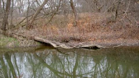 I Barley - Cream-of-Barley-Boom3.jpg