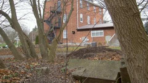 I Barley - Cream-of-Barley-Boom8.jpg