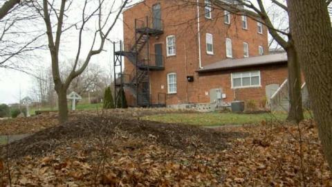 I Barley - Cream-of-Barley-Boom13.jpg