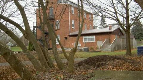 I Barley - Cream-of-Barley-Boom5.jpg