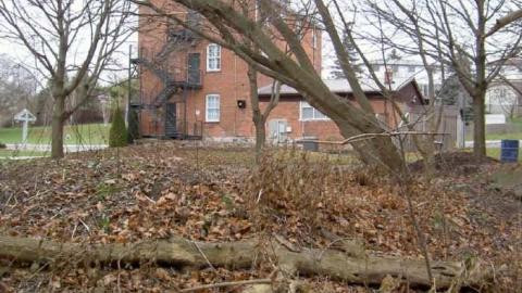 I Barley - Cream-of-Barley-Boom14.jpg