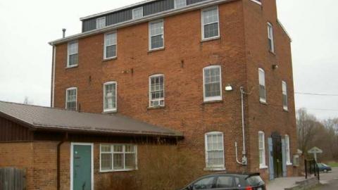 Cream of Barley Boom photo 2