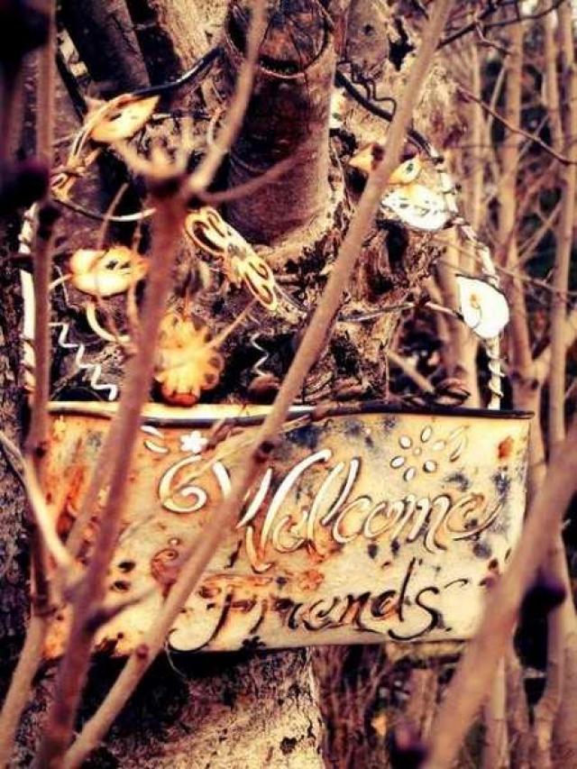 Kelly's Place - Markham, Ontario