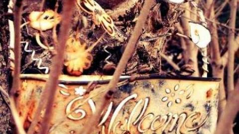 Photo from Kelly's Place