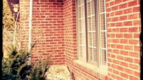 Photo from Kelly's Place