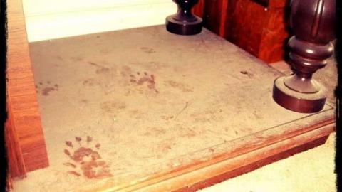 Kelly's Place - aaimage.jpg