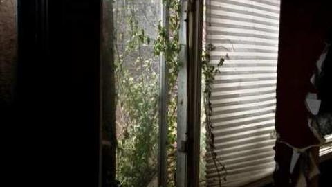 DEC 9 2012 - Ericas-Place81.jpg