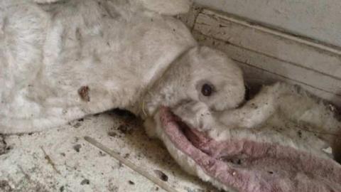 DEC 9 2012 - Ericas-Place97.jpg