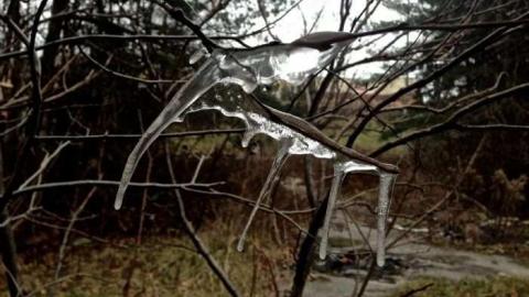 DEC 9 2012 - Ericas-Place98.jpg