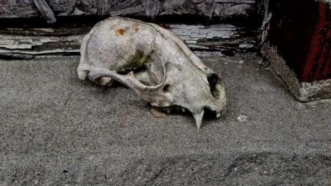 DEC 9 2012 - Ericas-Place100.jpg