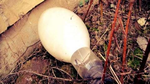 Kelly's Place - ioimage.jpg