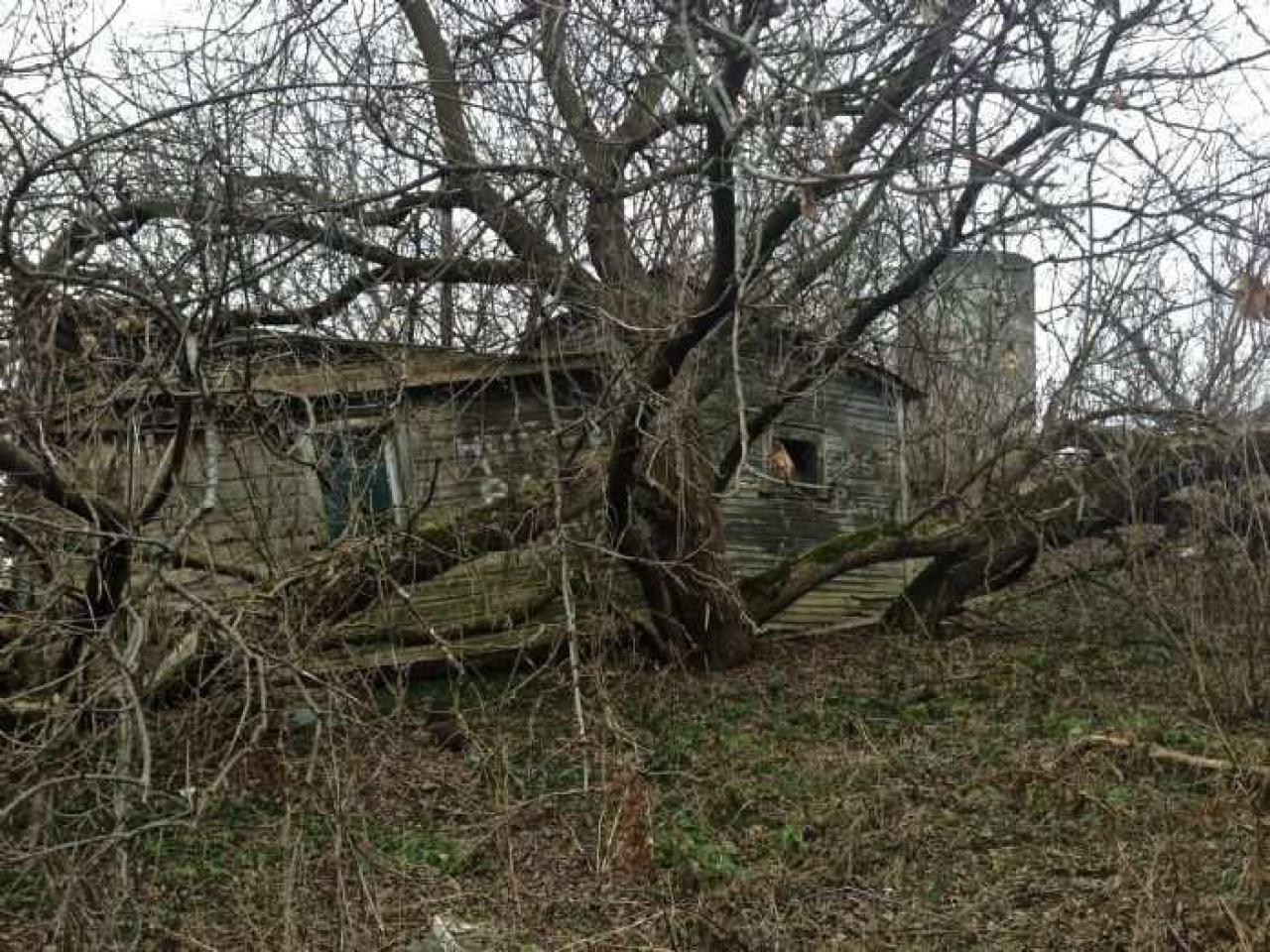 DEC 9 2012 - House-On-The-Hill80.jpg