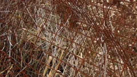 A Horror Yarn - Ridgeway-Witch-Prison-Tower36.jpg