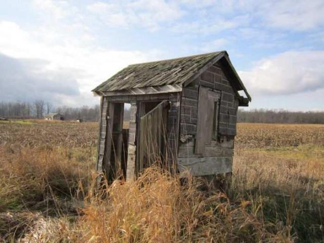 Silverdale's House of Cards photo 4