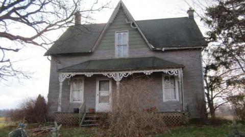 Tree Farm cover photo