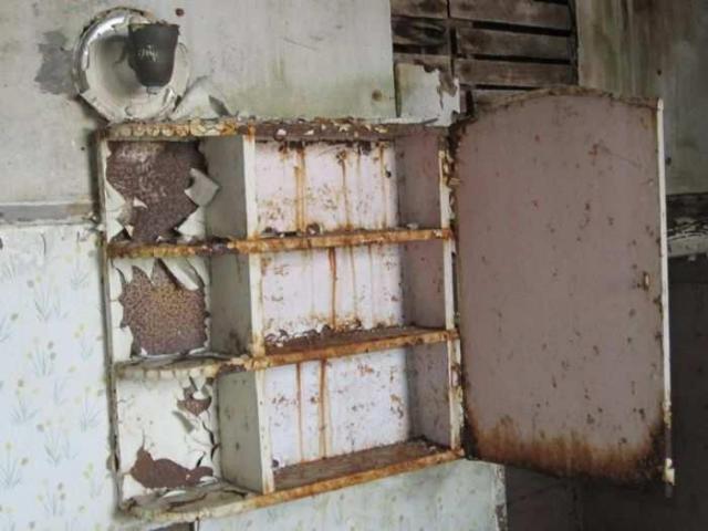 Silverdale's House of Cards photo 2