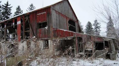 Fresh Snow - Jeremiahs-Field260.jpg