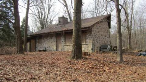 Stone Reesor cover photo