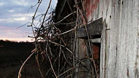 Deserted Chromatics - vqimage.jpg