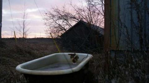 Deserted Chromatics - apimage.jpg