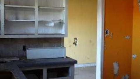 Triple Threat photo 2