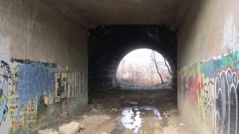 Forgotten Tunnel photo 5