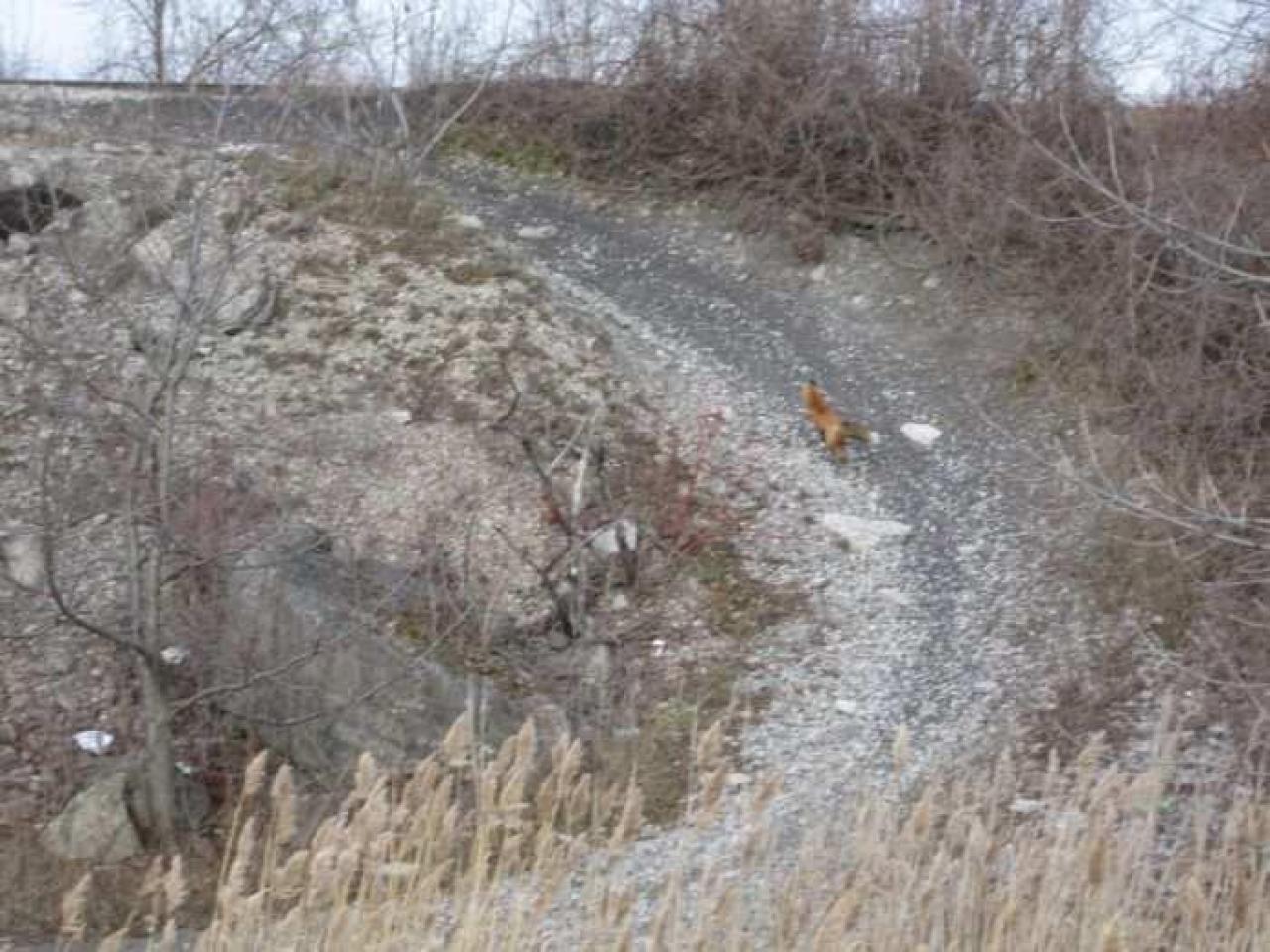 Forgotten Tunnel - 088.jpg