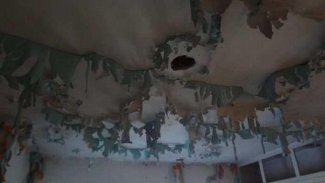 Triple Threat photo 4