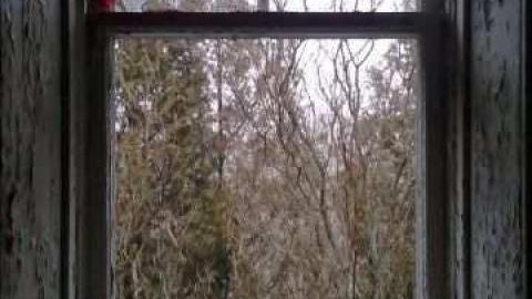 Skull Surprise - 2012-12-07 15.37.43.jpg