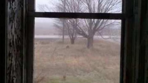 Skull Surprise - 2012-12-07 15.38.29.jpg