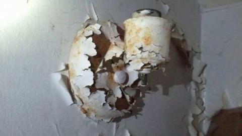 Skull Surprise - 2012-12-07 15.51.56.jpg