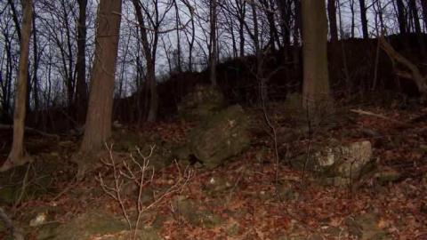 Old Stone Building - Bruce-Trail-Stone-building7.jpg