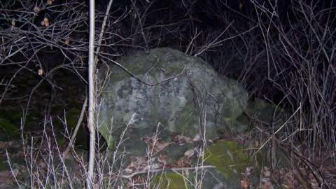 Old Stone Building - Bruce-Trail-Stone-building8.jpg