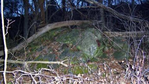 Old Stone Building - Bruce-Trail-Stone-building9.jpg