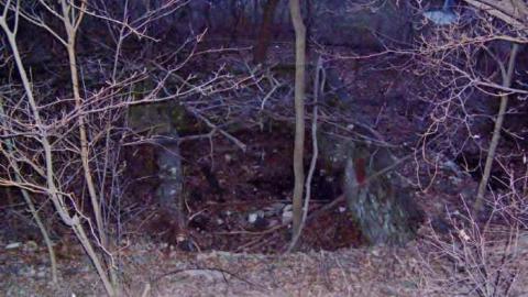 Old Stone Building - Bruce-Trail-Stone-building11.jpg