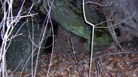 Bruce Trail Stone building photo 2