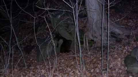 Old Stone Building - Bruce-Trail-Stone-building16.jpg