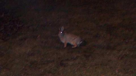 Hamilton's Light house - Burlington-Bay-Lighthouse10.jpg