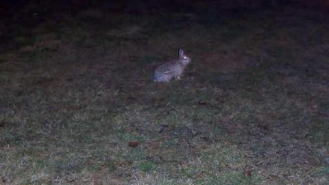 Hamilton's Light house - Burlington-Bay-Lighthouse12.jpg