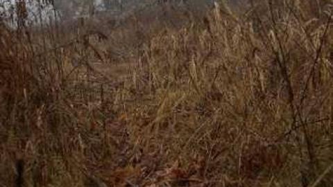 Rocky Ruins - Rocky-Ruins20.jpg