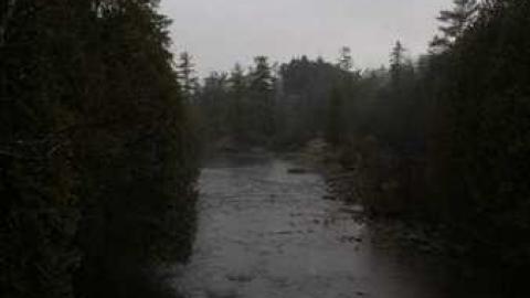 Harris Woolen Mill - Harris-Woolen-Mill--Rockwood85.jpg