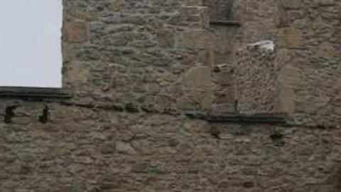 Harris Woolen Mill - Harris-Woolen-Mill--Rockwood89.jpg