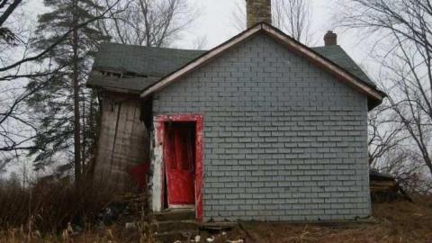 Absorbed - Absorbed7.jpg