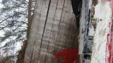 Absorbed - Absorbed23.jpg