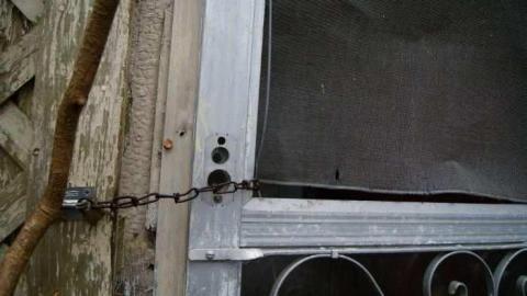 Absorbed - Absorbed26.jpg