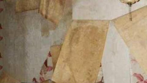 Absorbed - Absorbed20.jpg