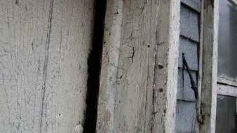 Absorbed - Absorbed21.jpg