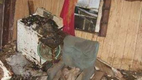 Absorbed - Absorbed22.jpg