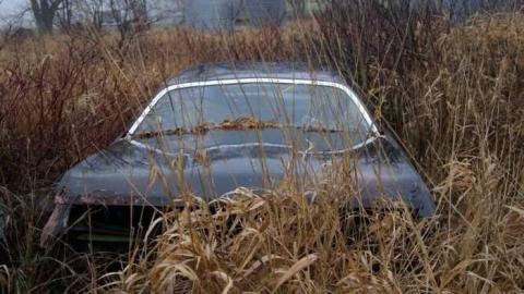 Absorbed - Absorbed19.jpg